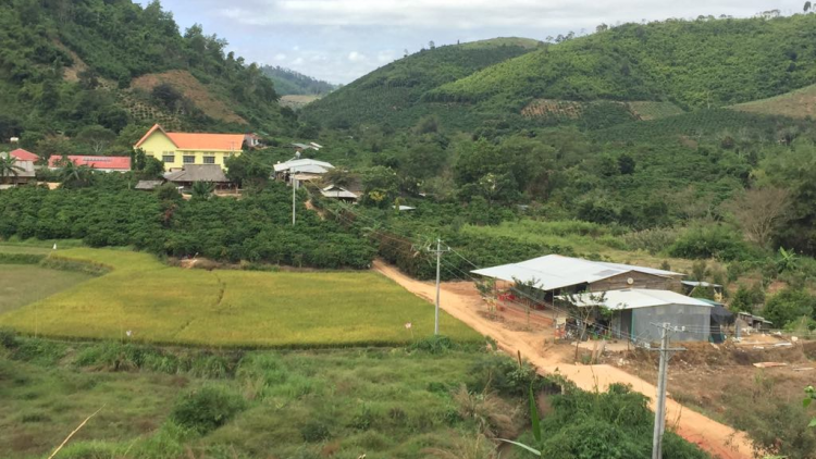 Làng bol Dà Mpô, kơnhòal Đam Rông kơp gơn đèng