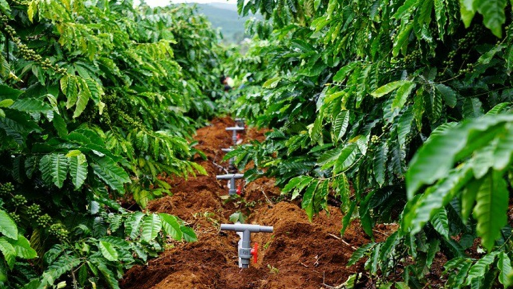 Tam pa wơl kơphe pal wèt tus bơta kơ\ kơljap, jo\ jòng