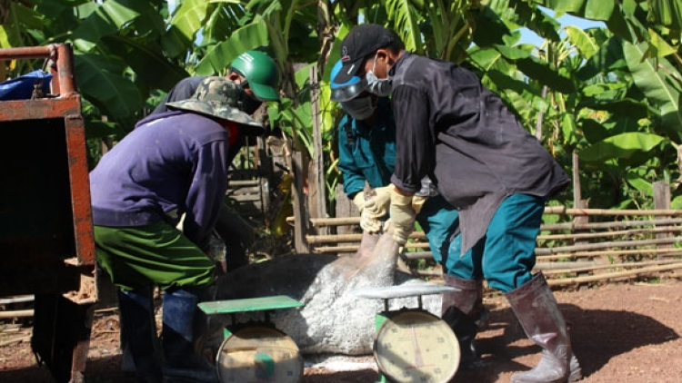 Kơnhoàl Huyện Ea Súp (Dak Lak) kal ke sền gròi kòp jê ndul gơ jroh sur châu Phi