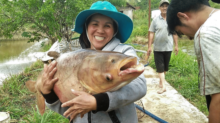 Lâm Đồng: Ùr kòn cau Nùng lơh pas bơh broă tam uă phan tam