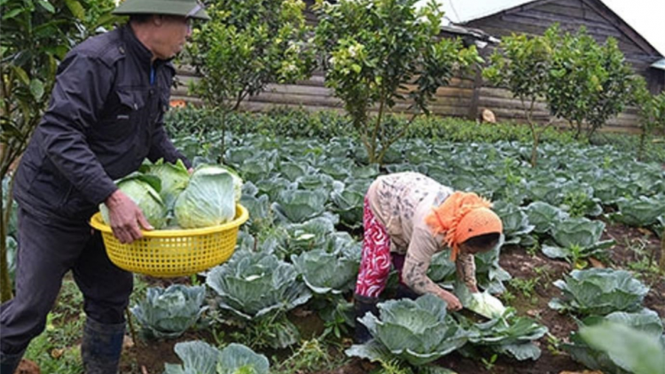 Kon Tum ai càn priă bơtàu tơnguh lơh sa mpồl cau bal