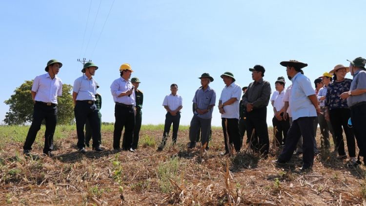 Gia Lai: Tơn jơh 10 nam bơ\t bơtàu [òn lơgar pa
