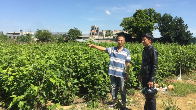 Lâm Hà (Lâm Đồng): Broă bồr ù tàm [làng sre lơh kòi ờ hềt tơn jơh