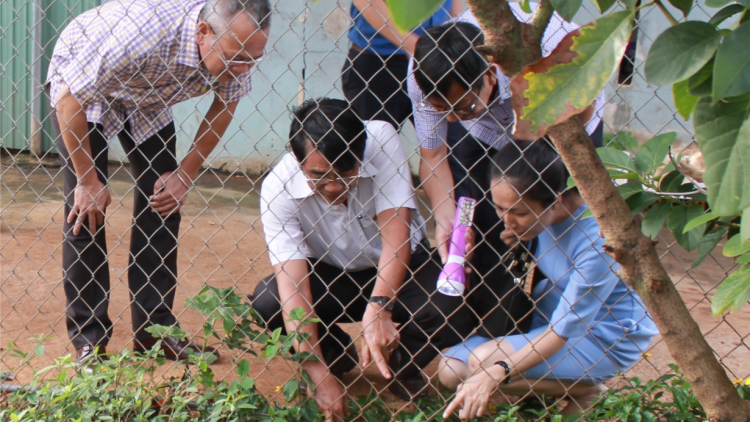 Khà cau bơtờp kòp sốt xuất huyết tàm Dăk Lăk tus 50% kờp jơh khà cau kòp bơh jơh gùt ù tiah Tây Nguyên dê