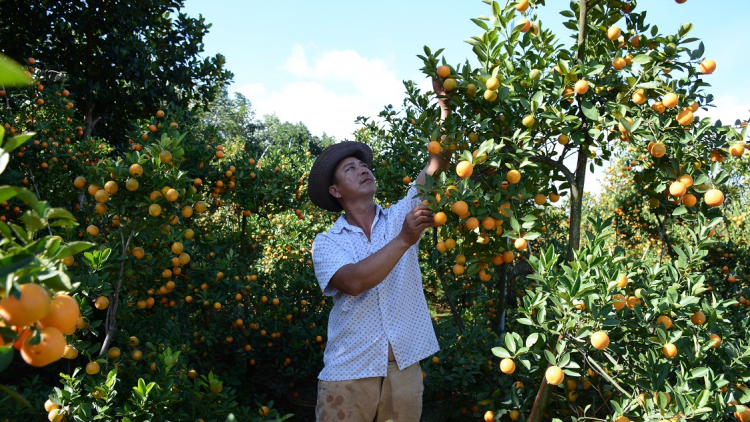 Dak Lak: Bơkào sa tềp neh mut tàm kàl