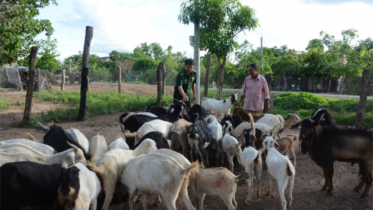 Cồng nha bơh broa\ ròng be tàm Dak Lak