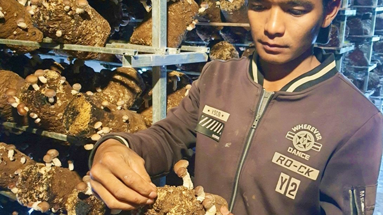 Lâm Đồng: Lơh bal tam bơsềt hương – broă lơh tơrmù r[ah geh cồng nha