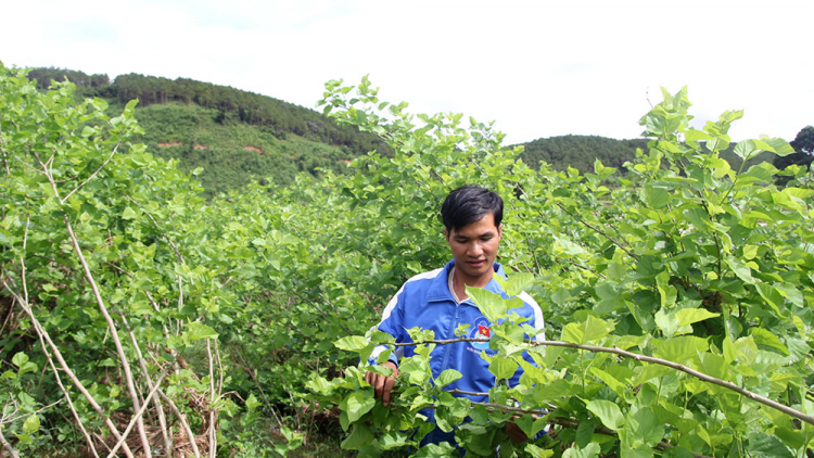 Klau pơnu K’ho sơn đờm mut lơh broă tàm kơnhòal tiah sar lơgar ngài Đam Rông