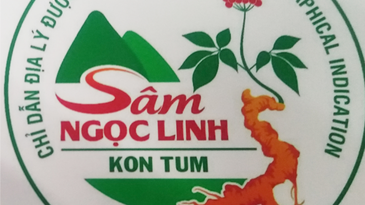 Yal anih lơh gơlik logo kơnuh sơnơm Ngọc Linh Kon Tum