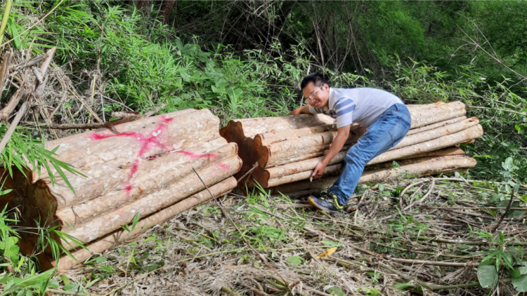 Gia Lai: Lơh glài kơnòl kơl mus brê tàm tiah nhàr dà lơgar Chư Prông