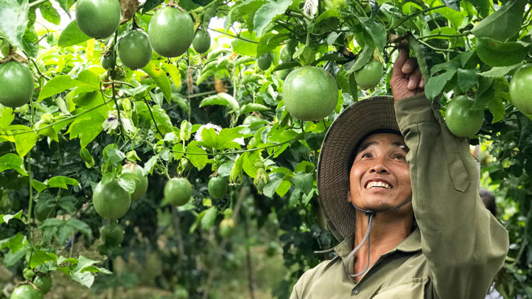 Lâm Đồng tơnguh bơta niam sơntìl chi tam