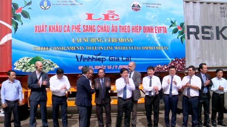 Gia Lai tac kơphe tus drà kă bro châu Âu jat Hiệp định EVFTA