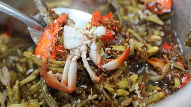 Bơkah biăp ngò` sràt kòn cau Rơđê dê