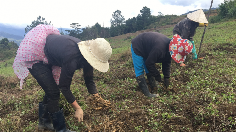 Cau Sơdàng tàm Kon Tum lơh pas kơnờm bơh broă tam tờm chi lơh sơnơm