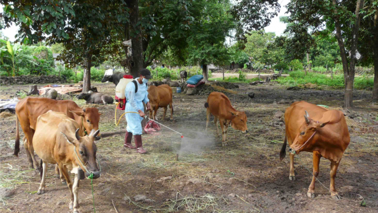 Dak Lak: Gơbàn kòp sồt mbùng gơtă nđias tàm phan ròng
