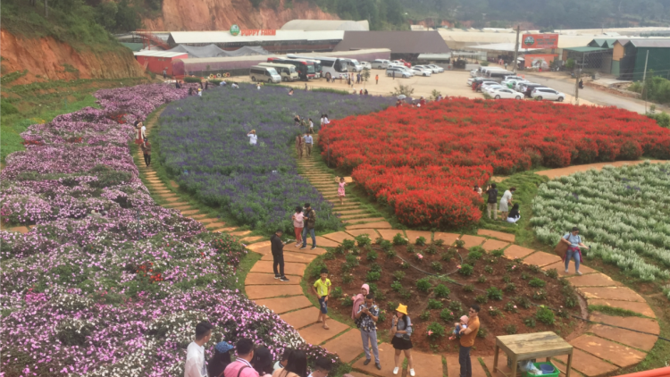 Nhơl chờ càr Lâm Đồng geh lam sồr wơl