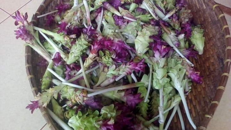 Bơkào rơm^t brê phan sa pơn rơ bơkah brê bơnơm Tây Nguyên dê