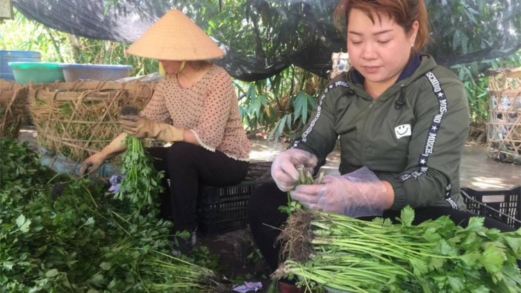 Lâm Đồng lơh wơl broă tam biăp, bơkàu tơnơ\ tơngai gơbàn kòp Covid-19