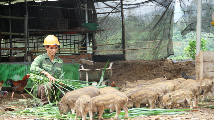 Ròng sur sơnràng cèng wơl cồng nha lơh sa uă