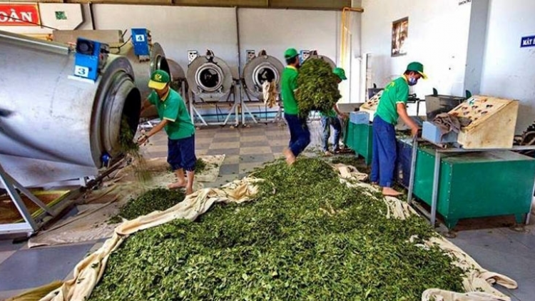 Kơnhoàl Lâm Hà, càr Lâm Đồng bơtàu tơnguh lơh sa mờ ma\y mok lơh gơlik phan pơgồp bal mờ tiah tam phan
