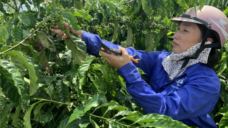 EVFTA: Bơta kơn jơ\ mờ bơta gơn kơ nờm mờng chài ai gah lơh sa suơn sre Gia Lai in