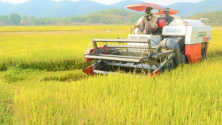 Cồng nha bơh ală sơntìl kòi pa tàm Dăk Nông