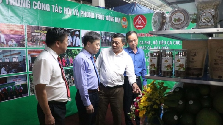 Festival phan bơna phơng sih sơnơm sền gàr phan tam lơh broă sa sươn sre, kă bro tàm Dăk Lăk