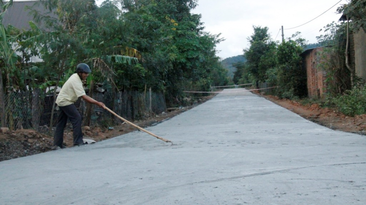 Dak Lak: rlau 246 tơmàn đong lơh broă tơr mù r[ah