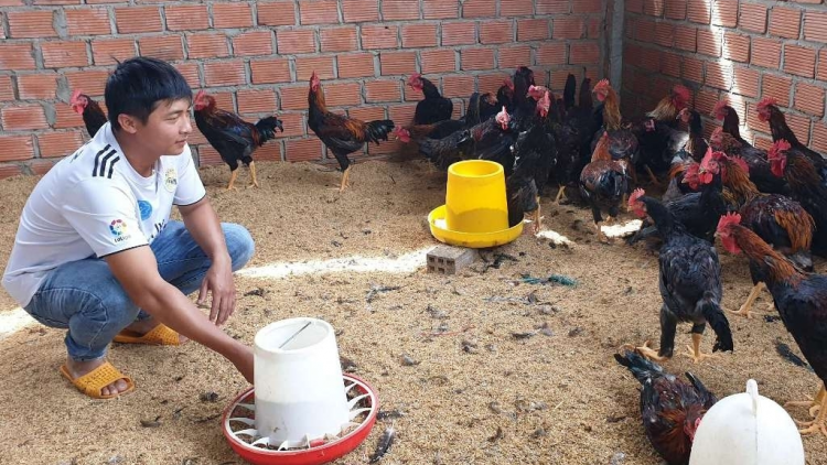 Lơh pas bơh ròng iar