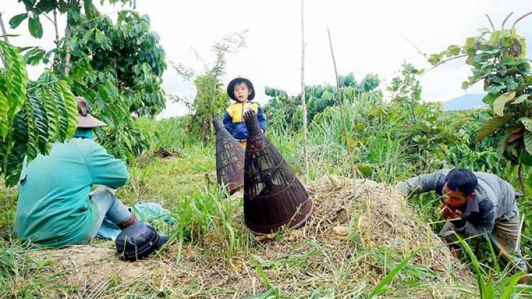 Phan sa bơkah kòn cau K’ho dê