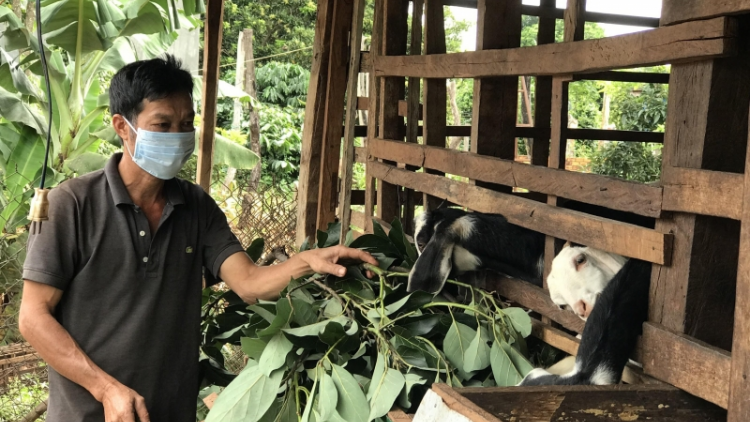 Ròng sur ù dong kờl hìu gơtìp kal ke klàs mờ rơƀah