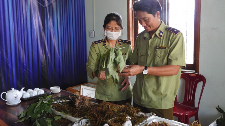 Kơnuh sơnơm Ngọc Linh ờ ngan bè ngan mờ jơnau ngan-ờ ngan ờ hềt tơn jơh