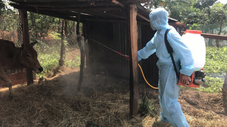 Gia Lai: Kơryan geh cồng nha kòp as sồt kơltau gơlik pơ nời tàm kơnrồ