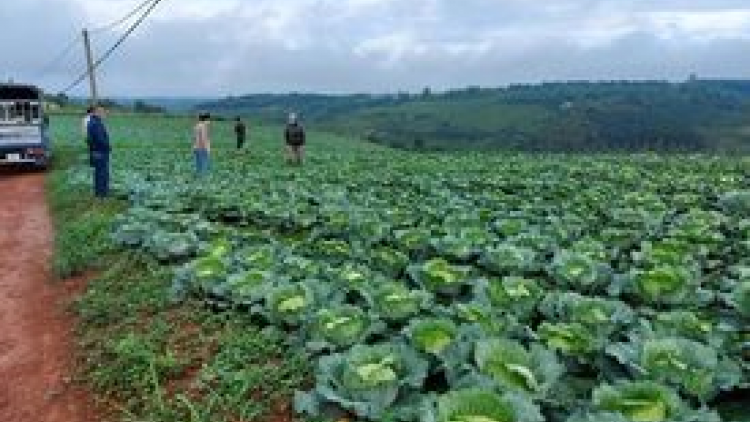 Lơh broă sa sươn sre Dăk Nông tàm gùng lòt gơdờp mờ kòp Covid-19