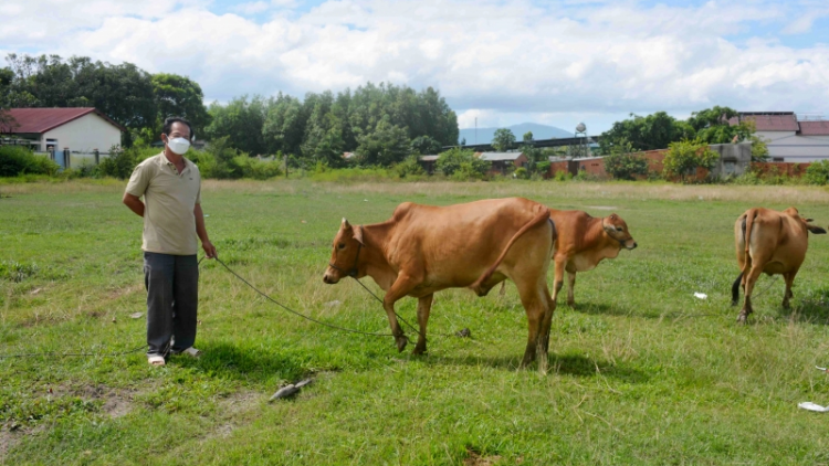 Dăk Lăk: Ai càn priă dong kờl priă cồng gơ wèt tus mờ cau rê bơh ală càr tiah đah jum dà lơgar