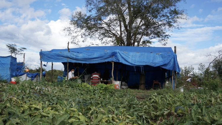 Cau lơh broă sa càr Gia Lai kal ke tài bơh rơpung kài gơmù khà priă