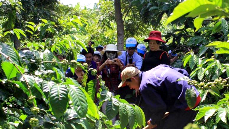 Dăk Lăk lam lơh ală broă lơh bơtàu tơnguh wơl nhơl chờ