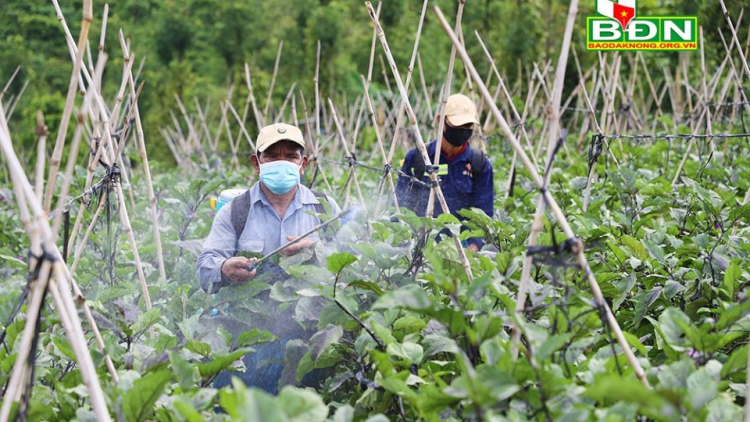 Cồng nha lơh sa bơh broă lơh tam blơn ồs Nhờk tàm Dak Nông