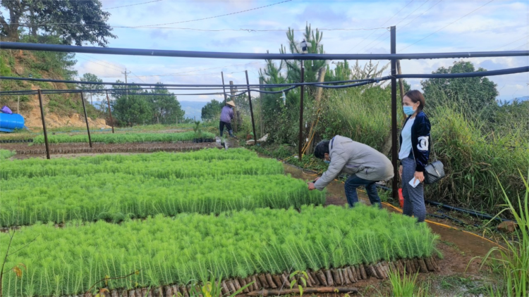 Lâm Đồng tam 50 tơlak tờm chi jăt rơndăp broă lơh bơh Thủ tướng Cính phủ dê