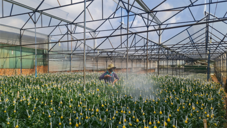 Phan lơh gơs bơh suơn sre gơguh khà priă, cau lơh broă sa Dà Làc lơh ngan bơtàu tơnguh wơl broă lơh sa