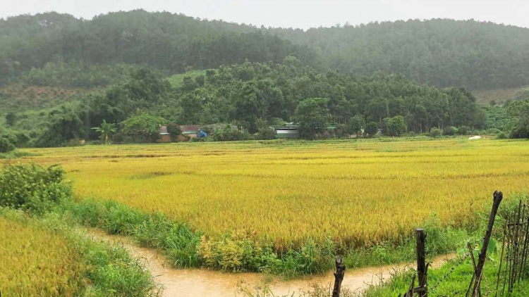 Cồng nha bơt bơtàu blàng sre dờng ơnàng tàm Đăk Tô càr Kon Tum