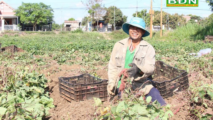 Làng bol lơh broă sa kơnhoàl Krông Nô, càr Dak Nông chờ hờp tơnhào geh bùm lô