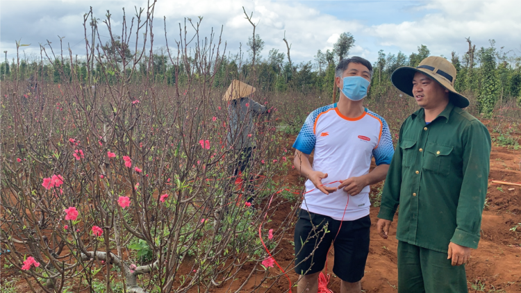 Bơkào đào ù pơr hê Tây Nguyên dê gơ hòi gơ jà năc