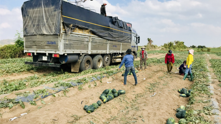 Thị xã Ayun Pa, càr Gia Lai ai tơl bơta niam tàm broă tăc phan geh lơh bơh broă lơh sa suơn sre