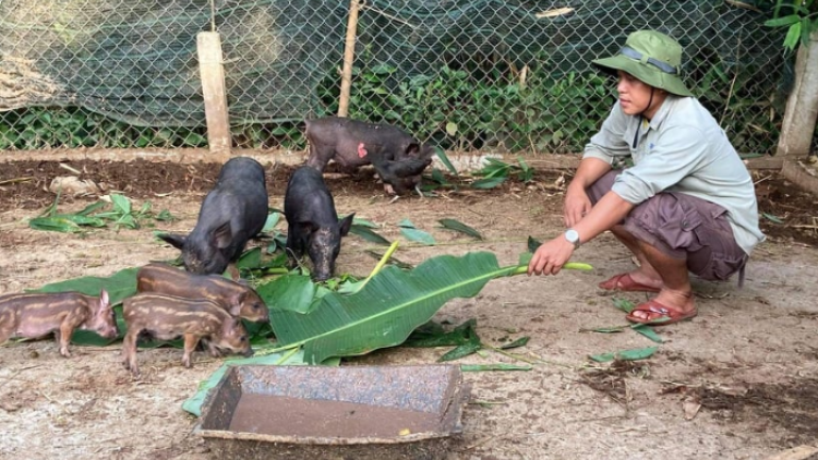 Càr Quảng Nam uă broă lơh geh cồng nha tàm broă tơmù rơƀah kơl jăp tiah kơh bơnơm