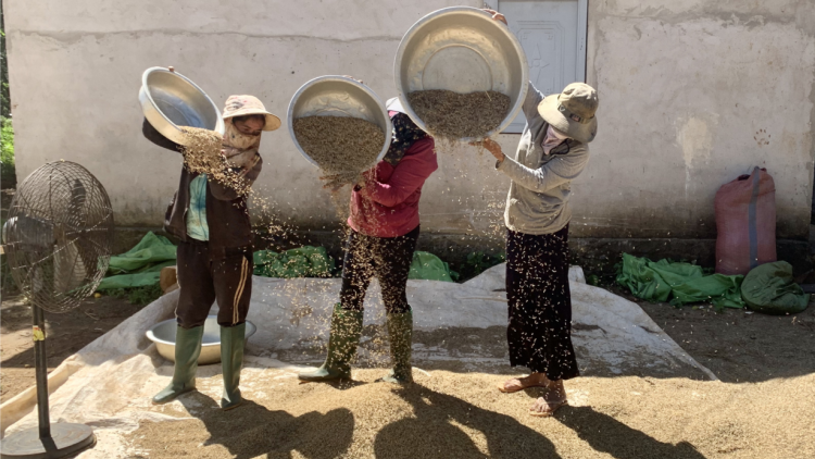 Dăk Lăk: Rơcang lài tam gơl nùs nhơm gơdờp bal ờ do ờ dă nàng lơh gơs “jơnau kờñ dơ̆ lĕ bal”