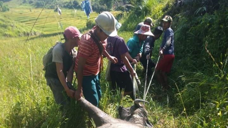 Gia Lai, Kon Tum: geh tiah kòp as sồt kơltau tàm rơpu kơnrồ
