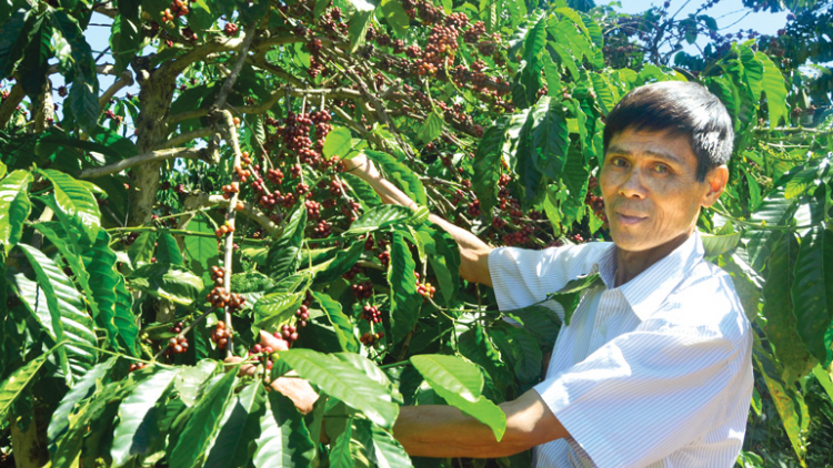 Lâm Đồng ngui niam gơnoar broă bơh cau geh bơngă pin dờn nàng sơlơ bơtàu tơnguh lơh sa- mpồl bơtiàn