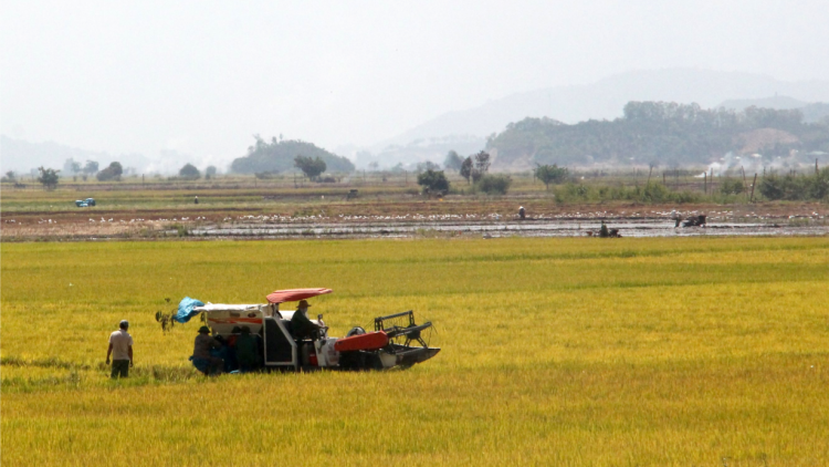 Kàl hờm ram tàm ală ƀlàng sre BuônTriết tàm tiah kơh bơnơm Dak Lak dê