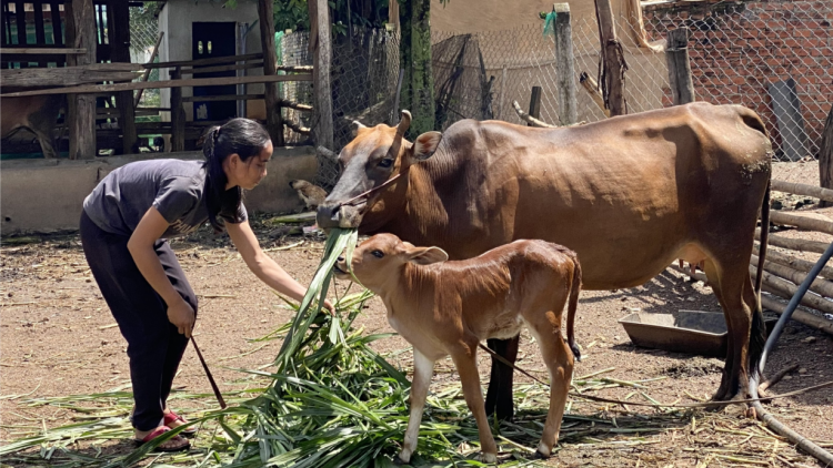 Cồng nha bơh priă càn ờ tam pơ gơl mờ phan bơna